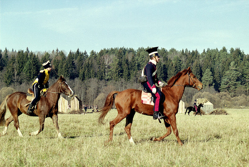 ph1711.jpg