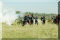 Image11.html