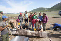 Археологические находки Тувинской экспедиции