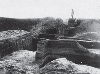 Раскопки на Дьяковом городище, 1935 г.