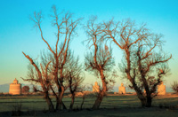 Исторические голубиные башни в Варзане, пригороде Исфахана. Автор: Амир Хосейн Камали