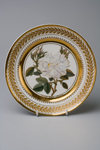 Тарелка десертная с изображением крупной розы сорта Rosier blanc ordinaire. 1827. Фарфор, роспись надглазурная, роспись золотом