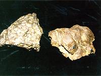 Осколки Сихотэ-Алинского метеорита
