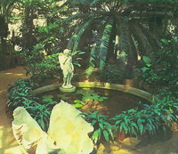 В тропической оранжерее. Ботанический сад, Петербург