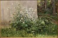 Шишкин И.И. (1832-1898). Цветы у забора. 1880-е гг.