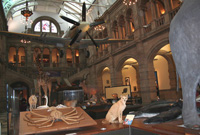 Музеи Глазго - взгяд   специалистов и посетителей 