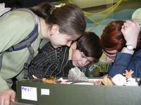 Игра ''Семейный лабиринт'' в Биологическом музее