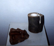 Зуб и фрагмент бивня мамонта