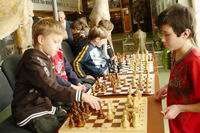 Шахматный турнир к Всемирному Дню слонов в Ставропольском государственном музее-заповеднике