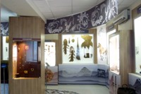 Фрагмент экспозиции музея истории культуры народов Сибири и Дальнего Востока