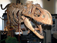 Передвижная палеонтологическая выставка ''Мир динозавров''