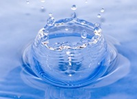 Всемирный День воды