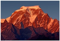 Ритам. Гималайский лотос