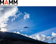 Выставка «Жизнь в движении - Килиманджаро»