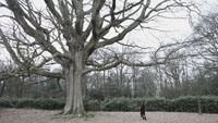 Показ фильма «Дерево, которое будет посажено завтра»