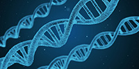 ''Тайны генетического кода'': лекция в Биомузее