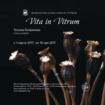 ''Vita in Vitrum'' ( . /)