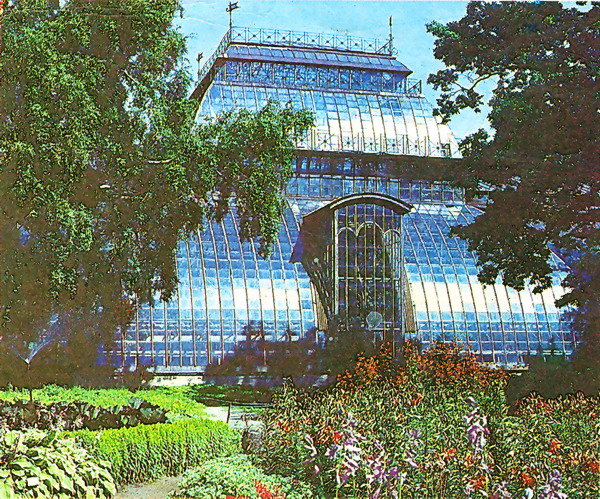 Ботанический сад на Аптекарском острове, Петербург