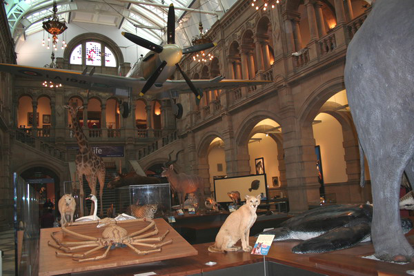 Музеи Глазго - взгяд   специалистов и посетителей