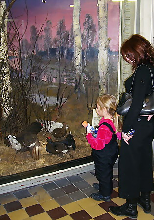 В залах Зоологического музея