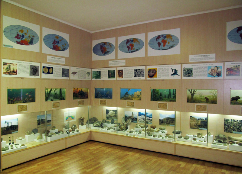 Фрагмент экспозиции отдела природы
