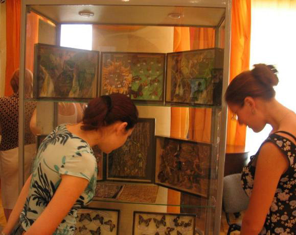 Бабочки в Саратовском музее краеведения