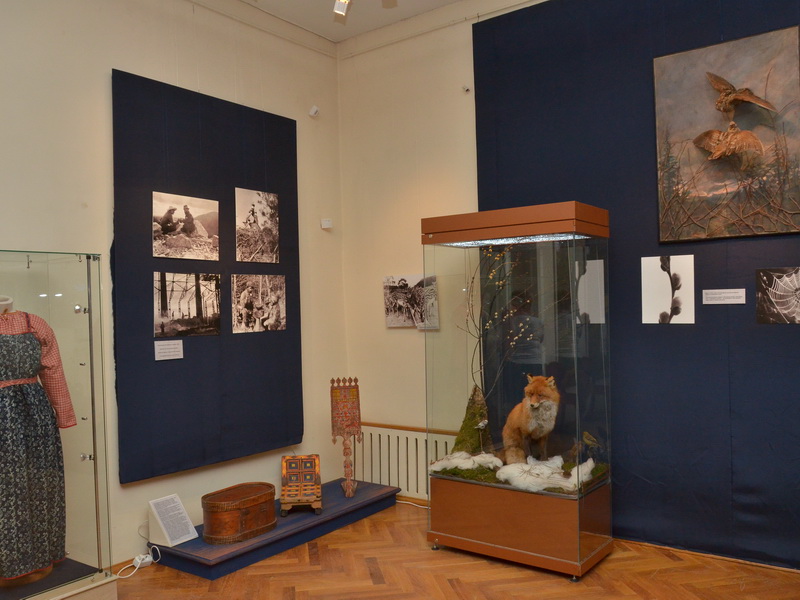 Вид экспозиции выставки 