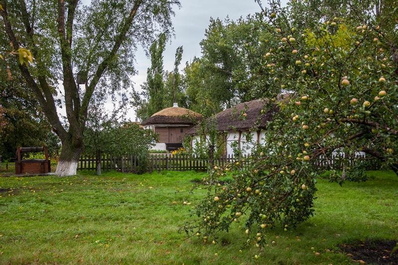Сад на родительской усадьбе М.А. Шолохова