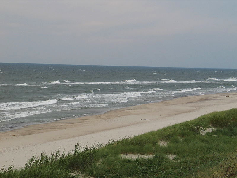 Песчаный пляж на побережье Балтийского моря