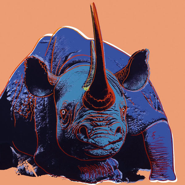  . Black Rhinoceros