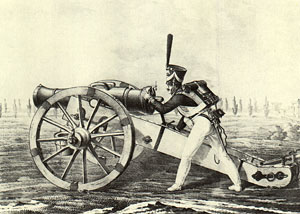 ������� ��� ��������� ������. ������� � ���������� ����������. 1-� ����. XIX �.