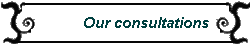 Our consultations