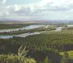 Вид с горы Пикет. Река Катунь.