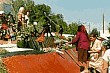 Возложение цветов к памятным доскам с именами жертв