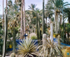 Majorelle garden, Marrakech, Morocco, XX c., arch. J. Majorelle