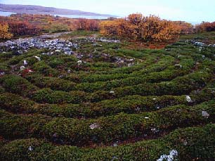 Neolithic Labyrinth at Bolshoy Zayatsky island, II-I thousand BC