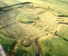 Turf maze, Saffron Walden, United Kingdom, XVII c.